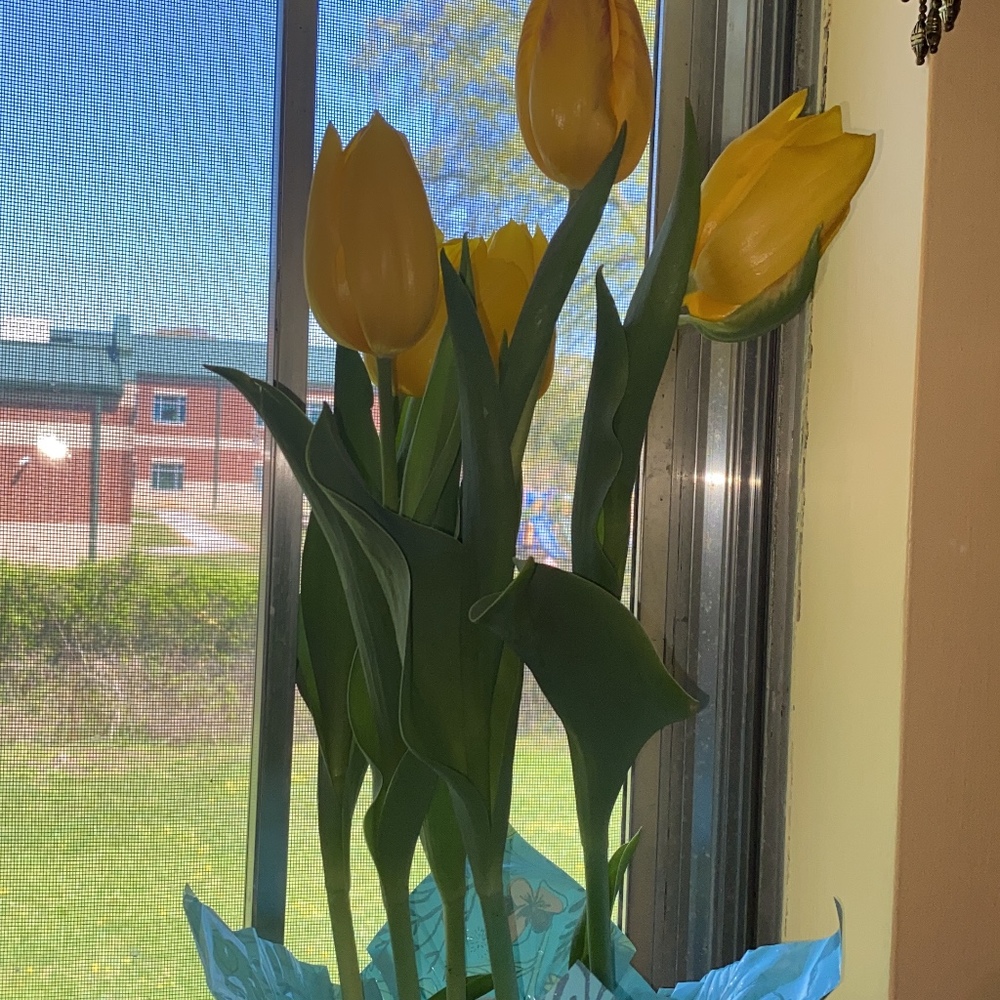 Meet your Posher, Janeia